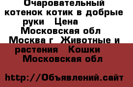 Очаровательный котенок котик в добрые руки › Цена ­ 100 - Московская обл., Москва г. Животные и растения » Кошки   . Московская обл.